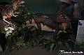 VBS_0900 - Dinosauri. Terra dei giganti